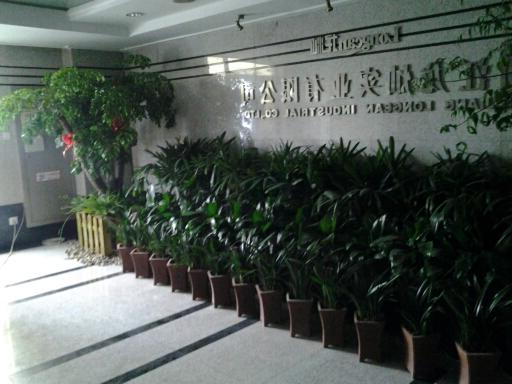 公司案例-杭州办公楼花卉装饰
